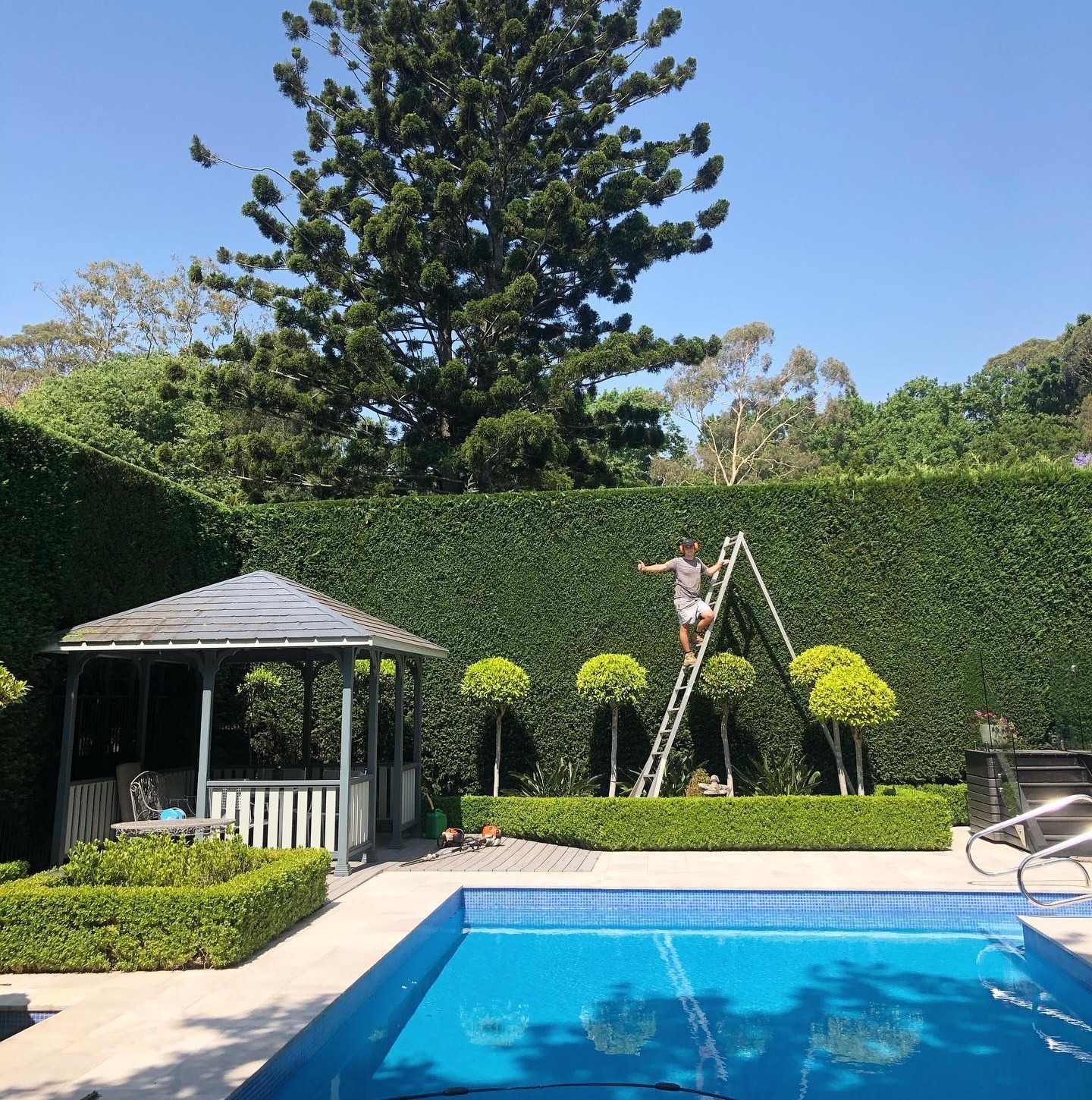 Finding the Best Tree Service Near Manassas: A Homeowner’s Guide