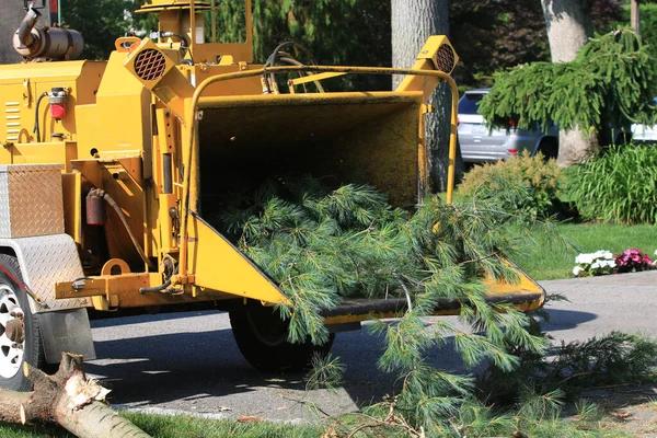 Reliable Tree Removal Service for Residential and Commercial Spaces